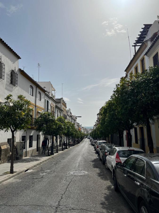 Apartamento San Fernando 科爾多瓦 外观 照片